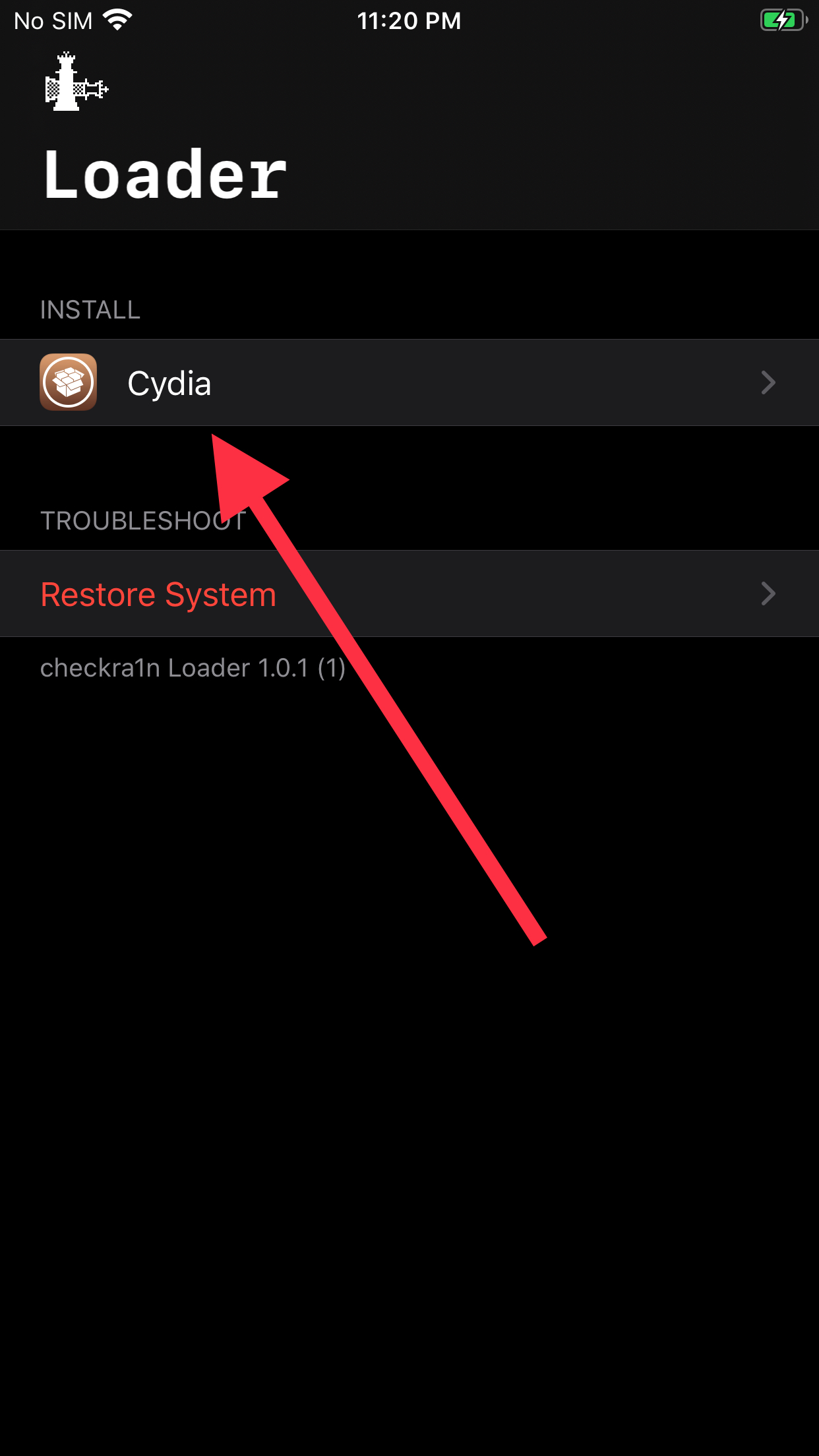 checkra1n app on iOS device